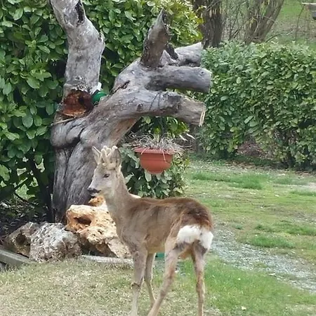 Bed & Bistro Che Piasi Frühstückspension